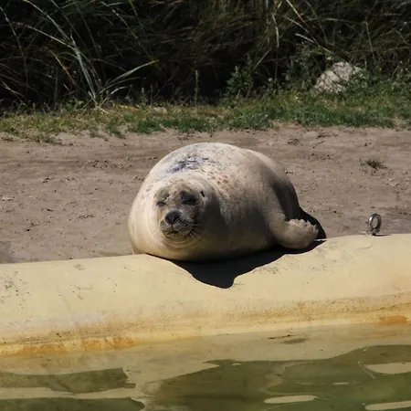 Ferienhof Schoof No3 Апартаменты Фридрихског