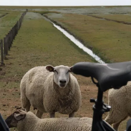 Ferienhof Schoof No3 *