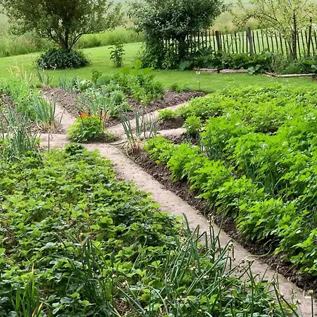 Апартаменты Ferienhof Schoof No3 *